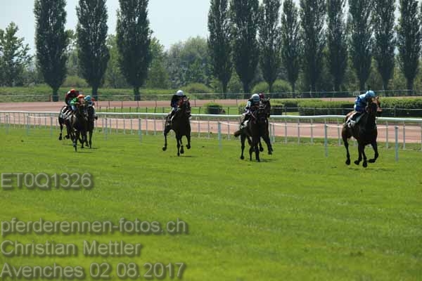 ET0Q1326 prot